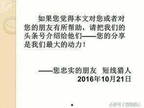 我们关系的基础知识,探索人际交往的奥秘与技巧