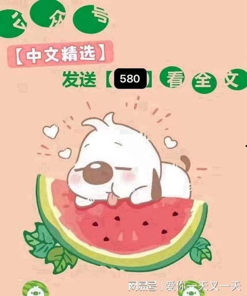 无人渡我过情关,探寻孤独心灵的救赎之路