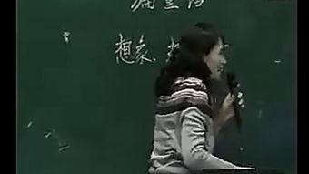 新死亡习作,探索生命终结的全新视角